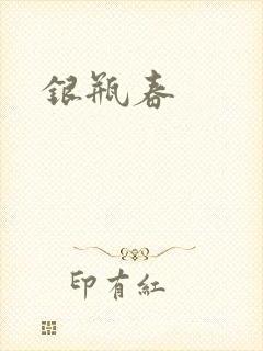 银瓶春封面