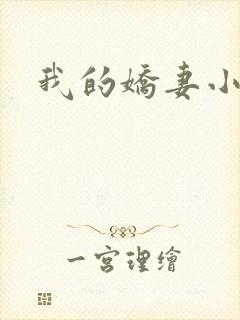 我的娇妻小说