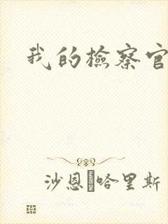 我的检察官先生