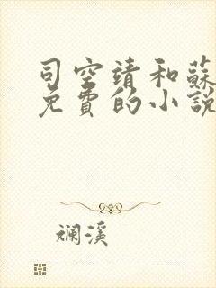 司空靖和苏月汐免费的小说笔趣阁