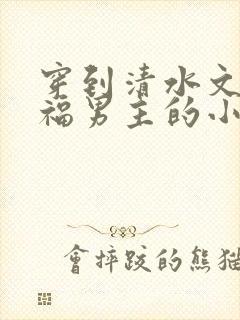 穿到清水文里造福男主的小说