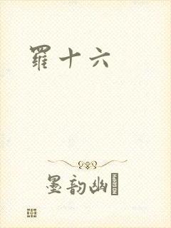 罗十六