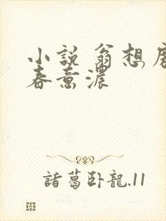 小说 翁想房中春意浓封面