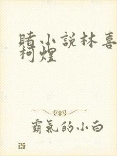 赌小说林喜朝和柯煜封面