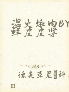 温火炖肉BY海鲜皮皮酱