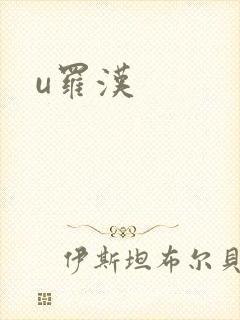 u罗汉封面
