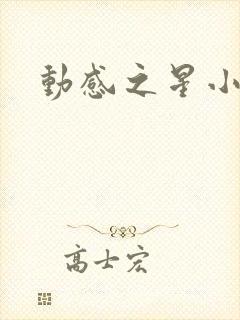 动感之星小蝶封面