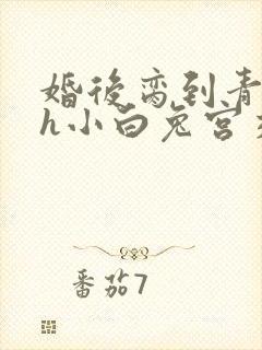 婚后脔到青梅哭h小白兔宫交h封面