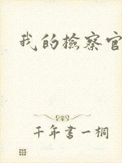 我的检察官先生