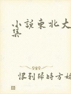 小说东北大炕全集