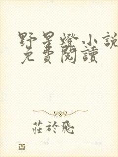 野星灯小说全文免费阅读