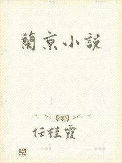 兰京小说封面