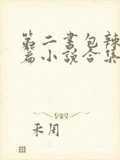 第二书包辣网短篇小说合集