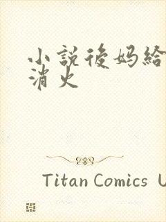 小说后妈给我消消火