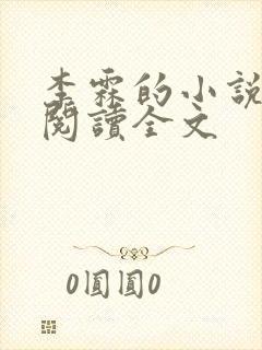 李霖的小说免费阅读全文封面