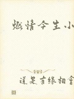 燃情今生小说