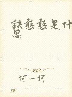 铁憨憨是什么意思