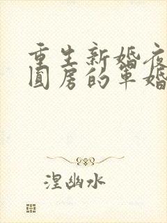 重生新婚夜正在圆房的军婚