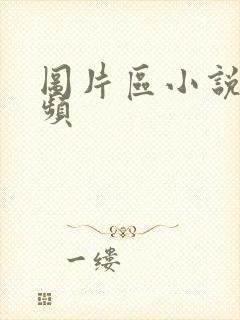 图片区小说区视频