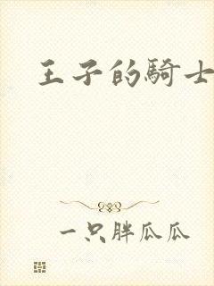 王子的骑士小说
