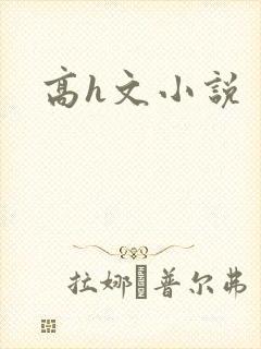 高h文小说