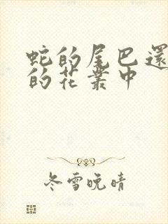 蛇的尾巴还在我的花丛中