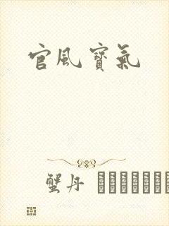 官风宝气封面