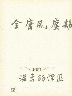 金庸风尘劫