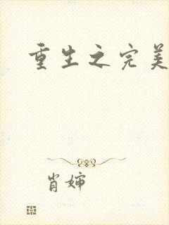 重生之完美一生封面