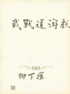 武战道游戏