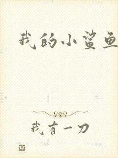 我的小鲨鱼