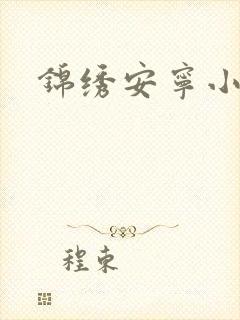 锦绣安宁小说