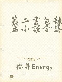 第二书包辣网短篇小说合集