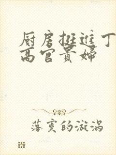 厨房挺进丁字裤高官贵妇