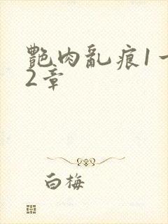 艳肉乱痕1一12章封面