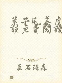 叶子风姜虞雪小说免费阅读封面