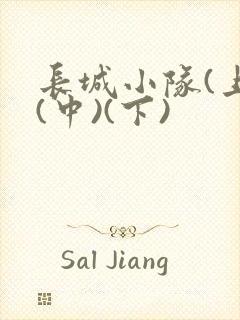 长城小队(上)(中)(下)