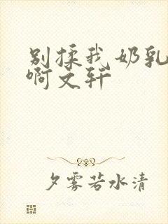 别揉我奶乳嗯～啊文轩