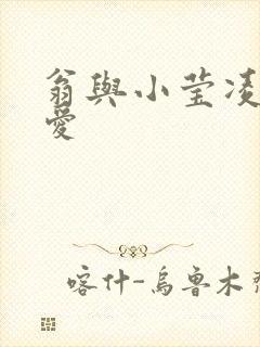 翁与小莹凌晨欢爱