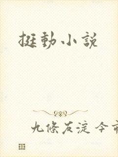 挺动小说