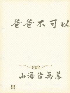 爸爸不可以封面