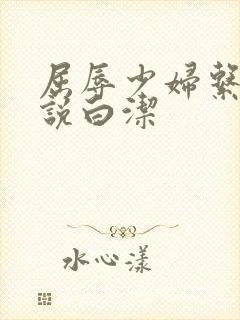 屈辱少妇系列小说白洁封面