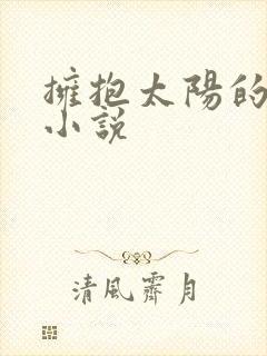 拥抱太阳的月亮小说