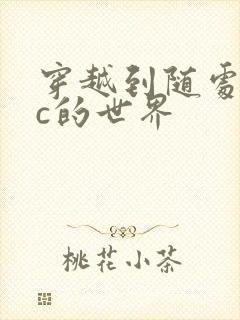 穿越到随处可以c的世界