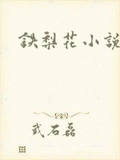 铁梨花小说封面