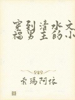 穿到清水文里造福男主的小说