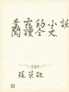 李霖的小说免费阅读全文