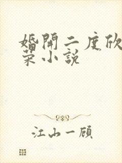 婚开二度欣欣向荣小说