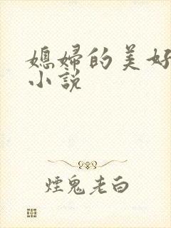 媳妇的美好时代小说封面