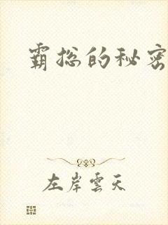 霸总的秘密教学封面